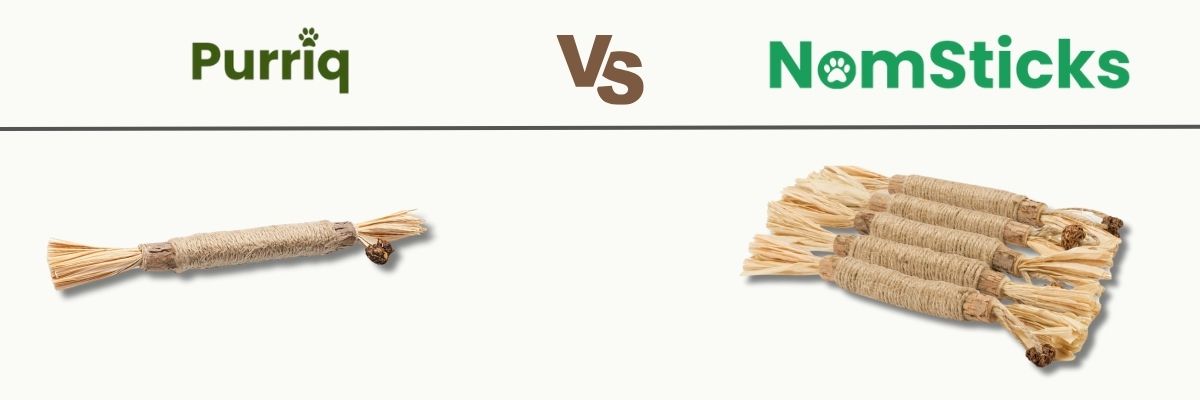 Purriq vs NomSticks: Which Should You Choose?