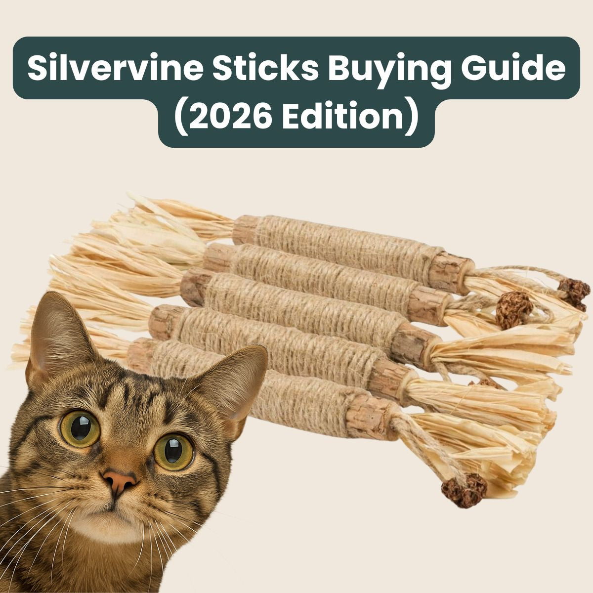 Silvervine Sticks Buying Guide (2026 Edition)