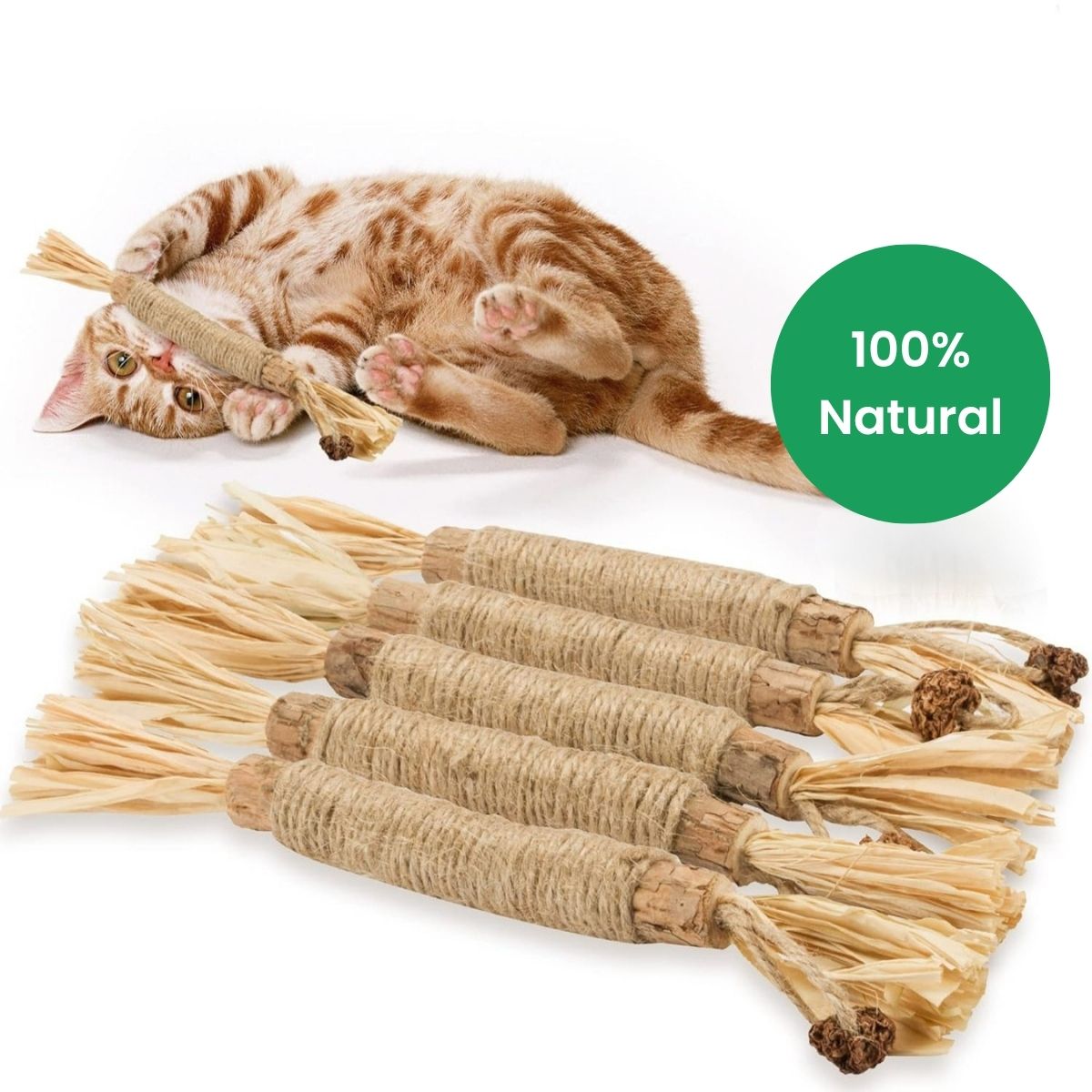NomSticks Dental Instinct™ Silvervine Chew Sticks - NomSticks