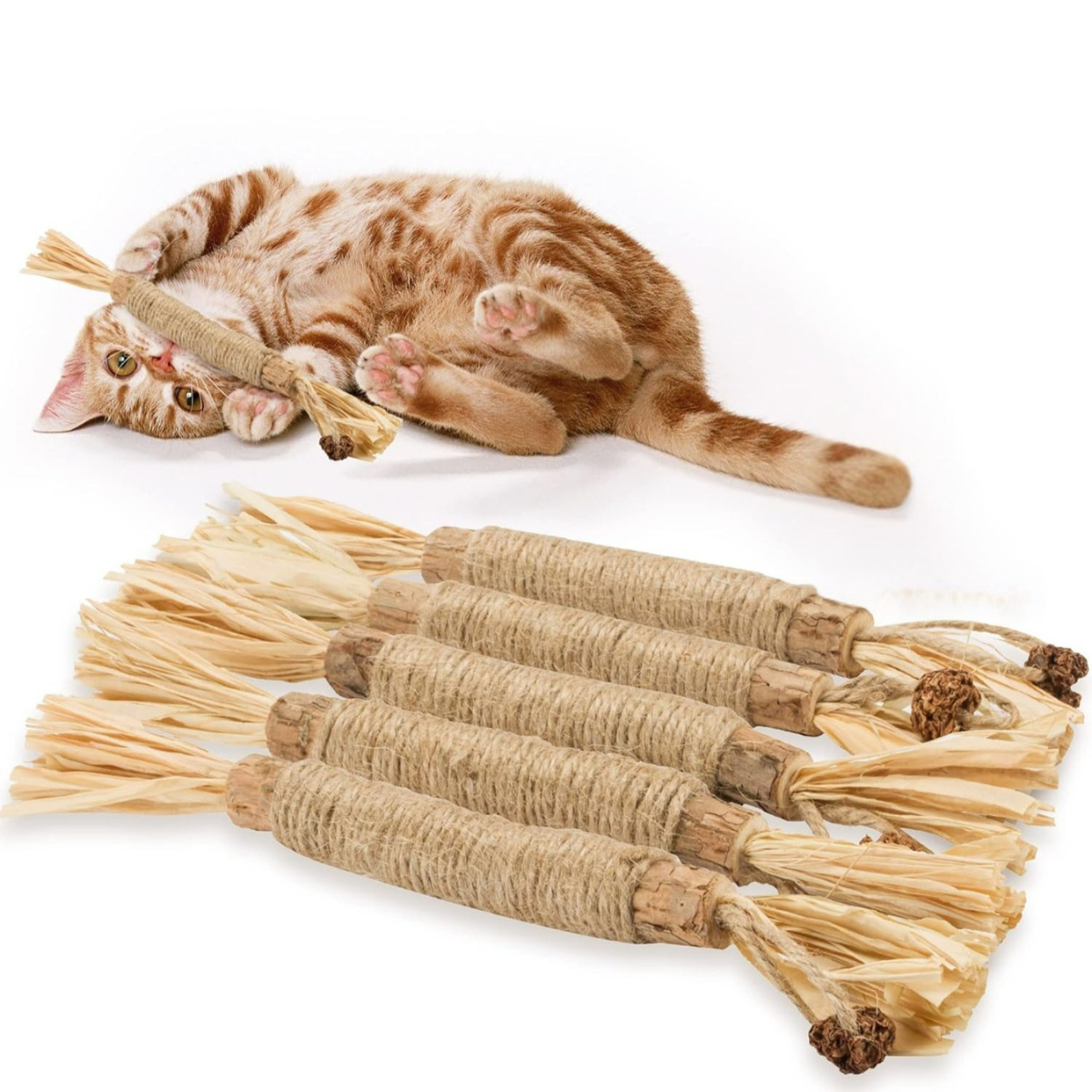 Silvervine sticks for cats with cat playing